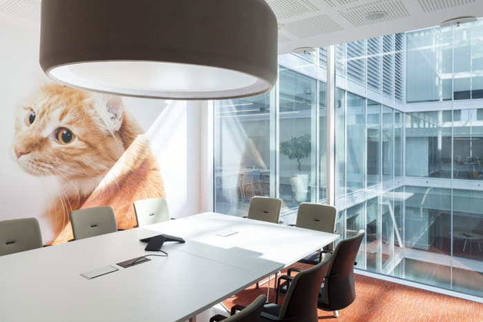 寵物食品公司辦公室會議室裝修設計效果圖