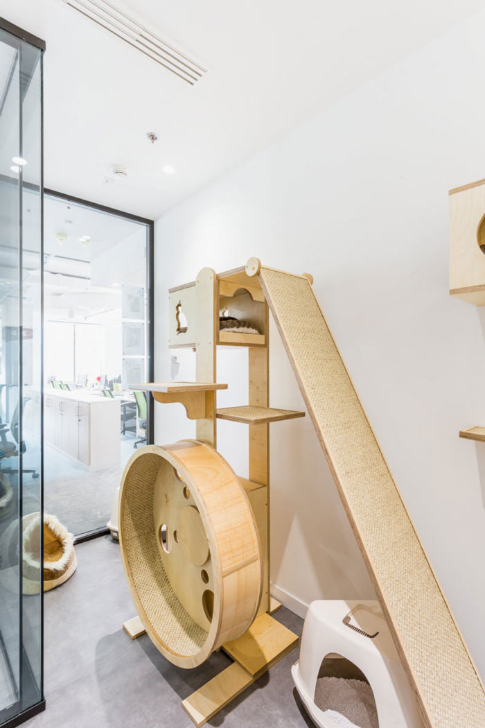 寵物食品公司辦公室寵物區裝修設計效果圖