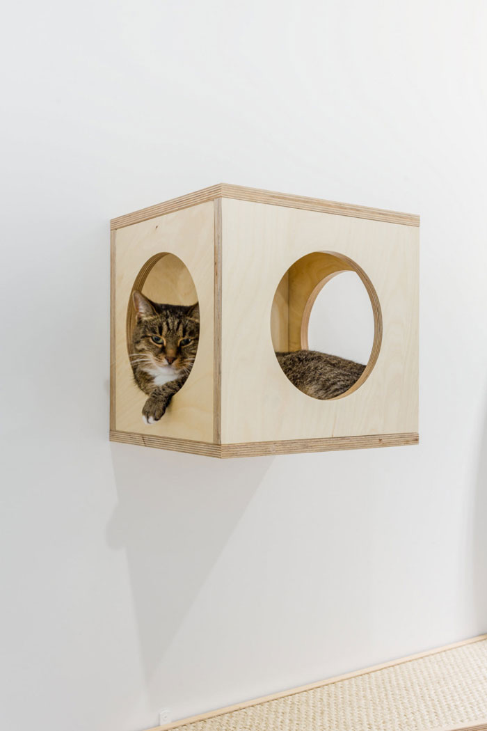 寵物食品公司辦公室寵物區裝修設計效果圖