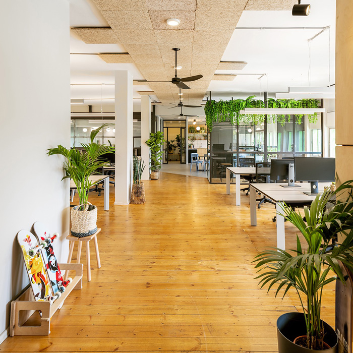 網絡辦公室辦公區裝修設計效果圖