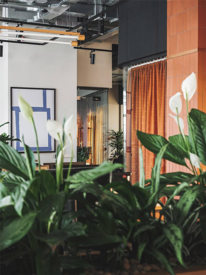 企業辦公室綠植裝修設計效果圖